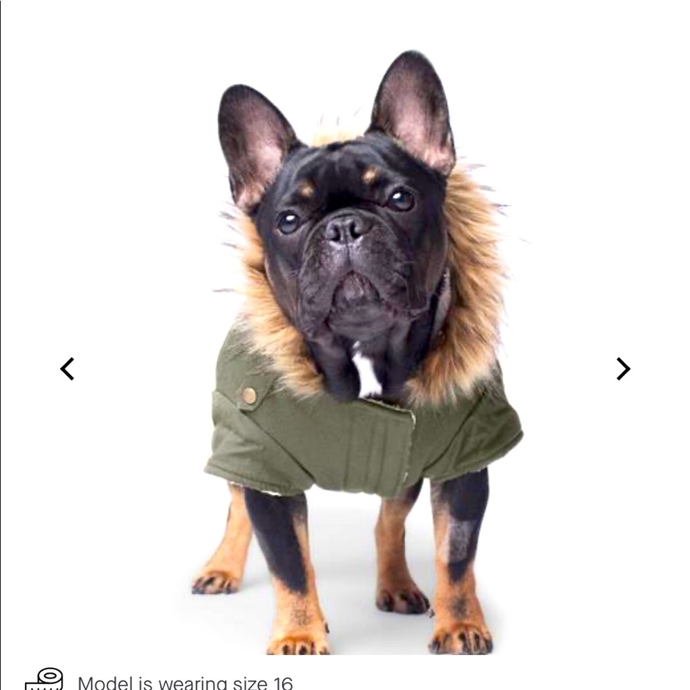 Alaskan Army Parka from Canadian Pooch Ltd